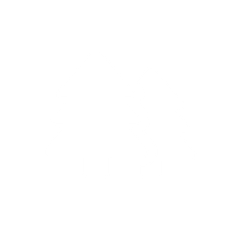 Icon for ticket Green Camping + Parking