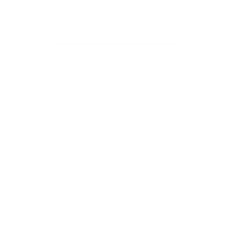 Icon for ticket CITY SHUTTLES